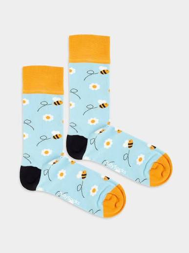DillySocks AG Foto 4