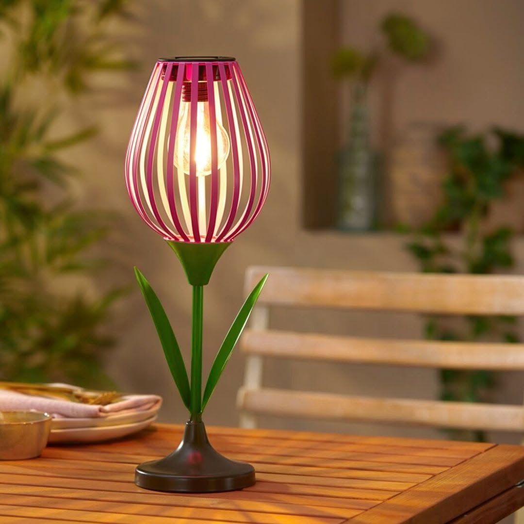 Walz Living & Home AG Foto 4