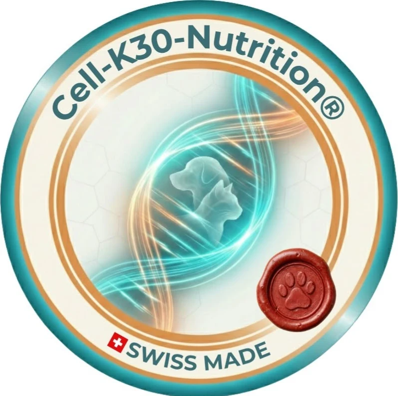 FIRSTSWISSVENTURES AG