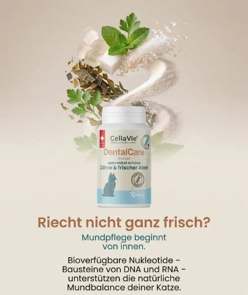 FIRSTSWISSVENTURES AG Foto 2