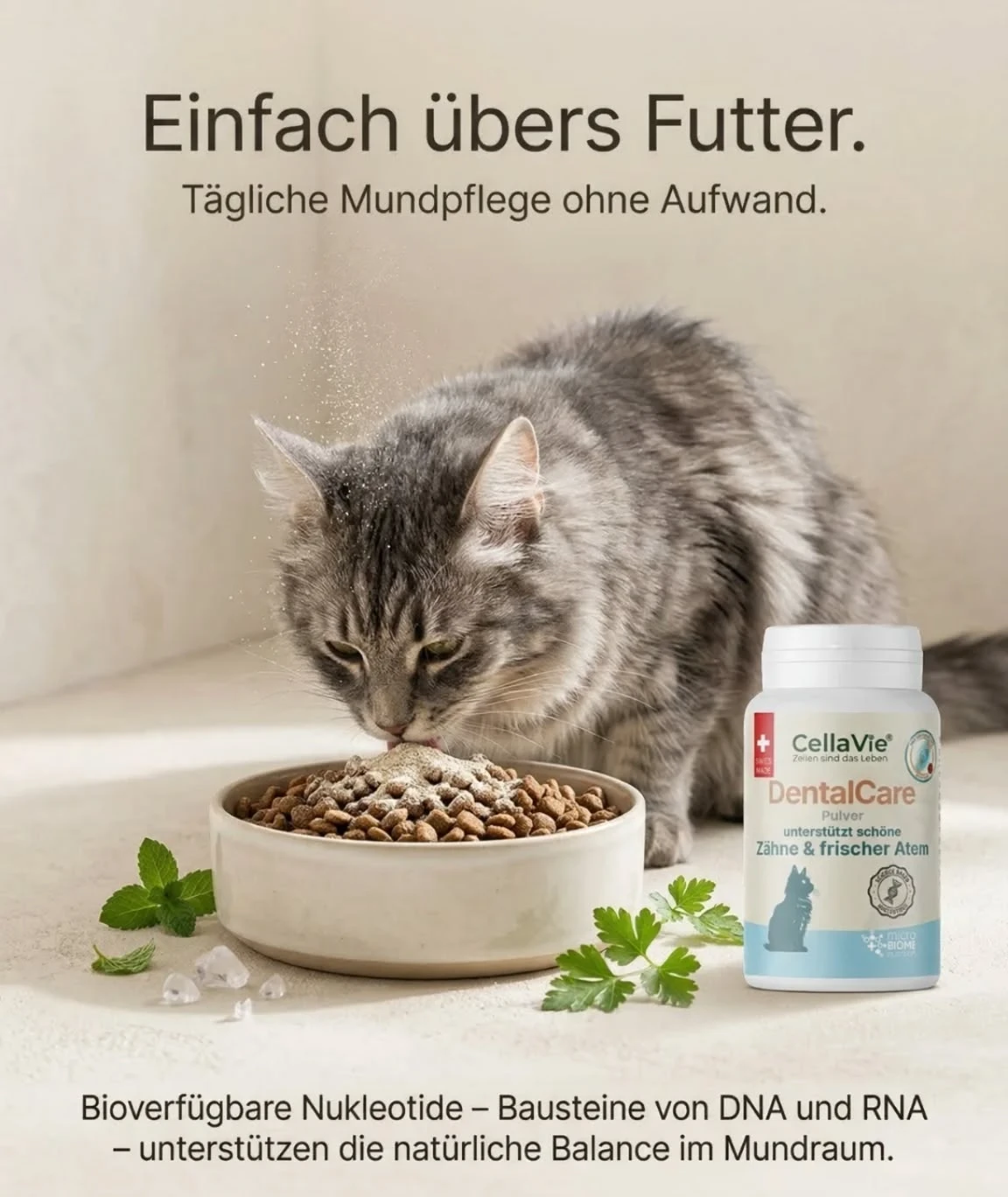 FIRSTSWISSVENTURES AG Foto 3