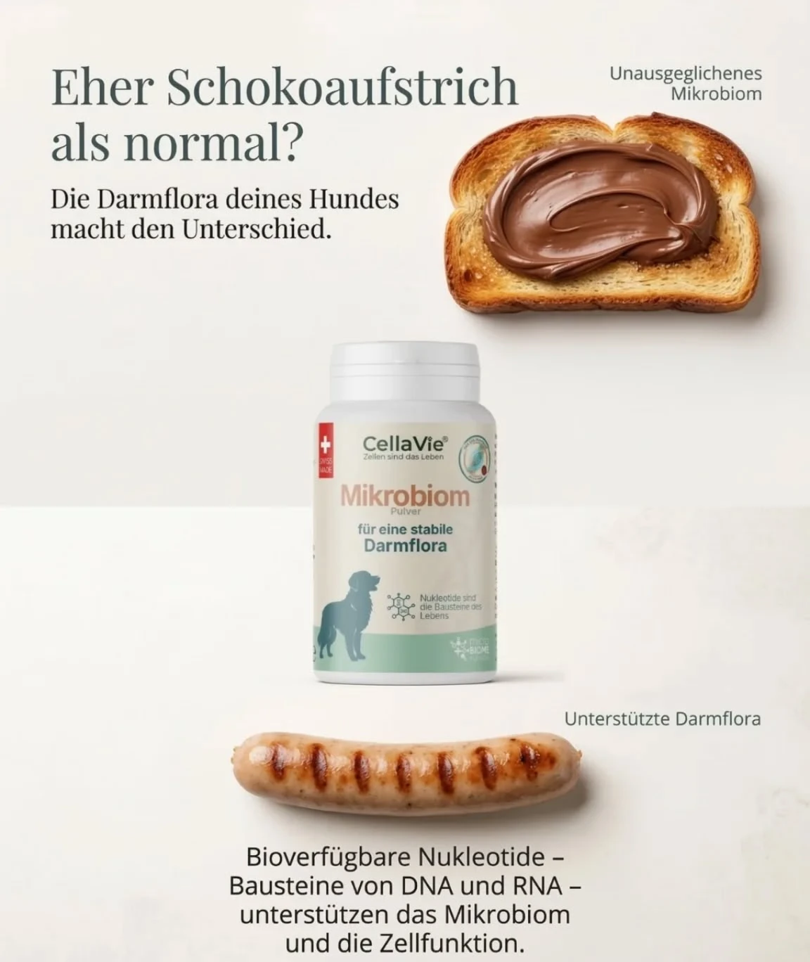 FIRSTSWISSVENTURES AG Foto 4