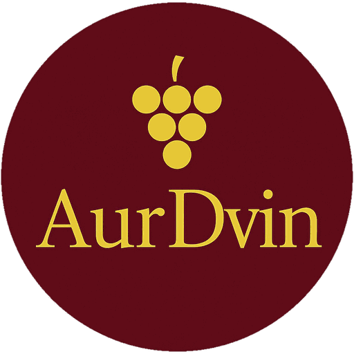 AurDvin GmbH